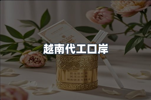 越南代工口岸